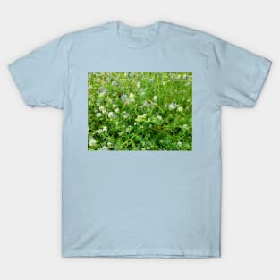 Clover T-Shirt